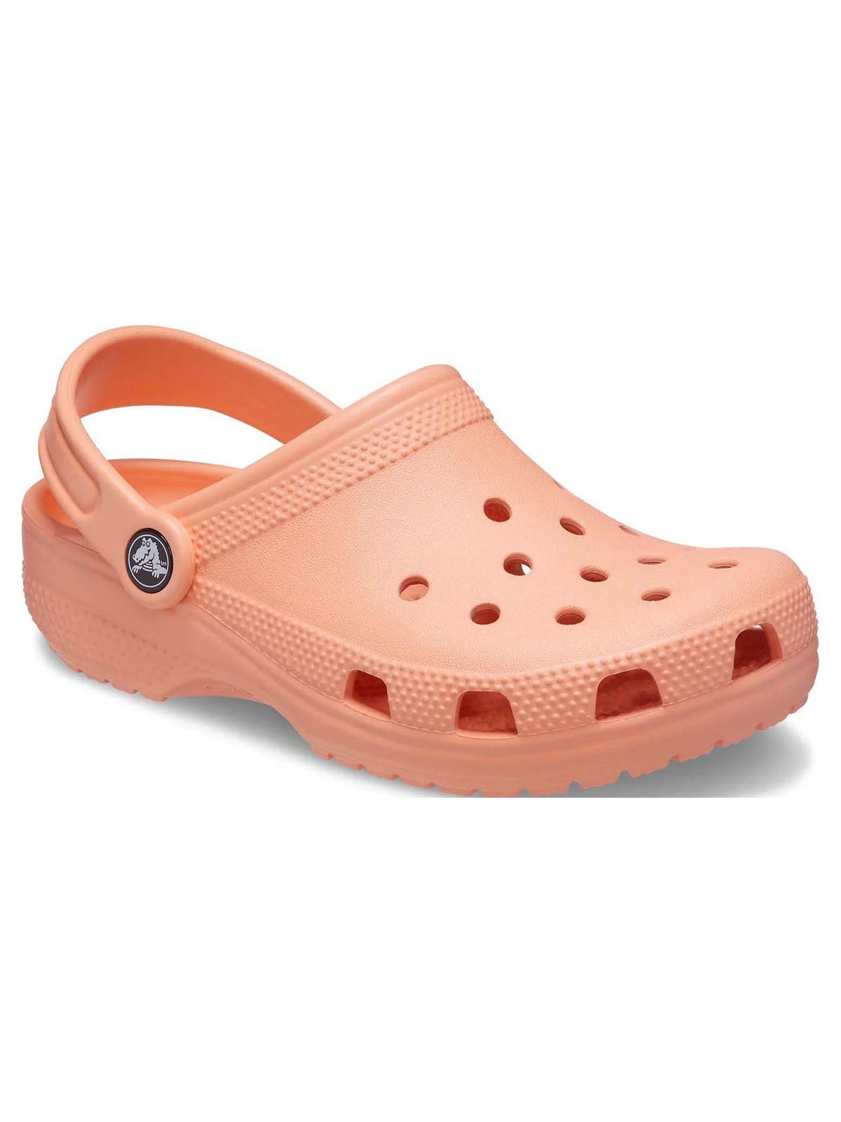 Toddler & Kids Classic Clog H381266