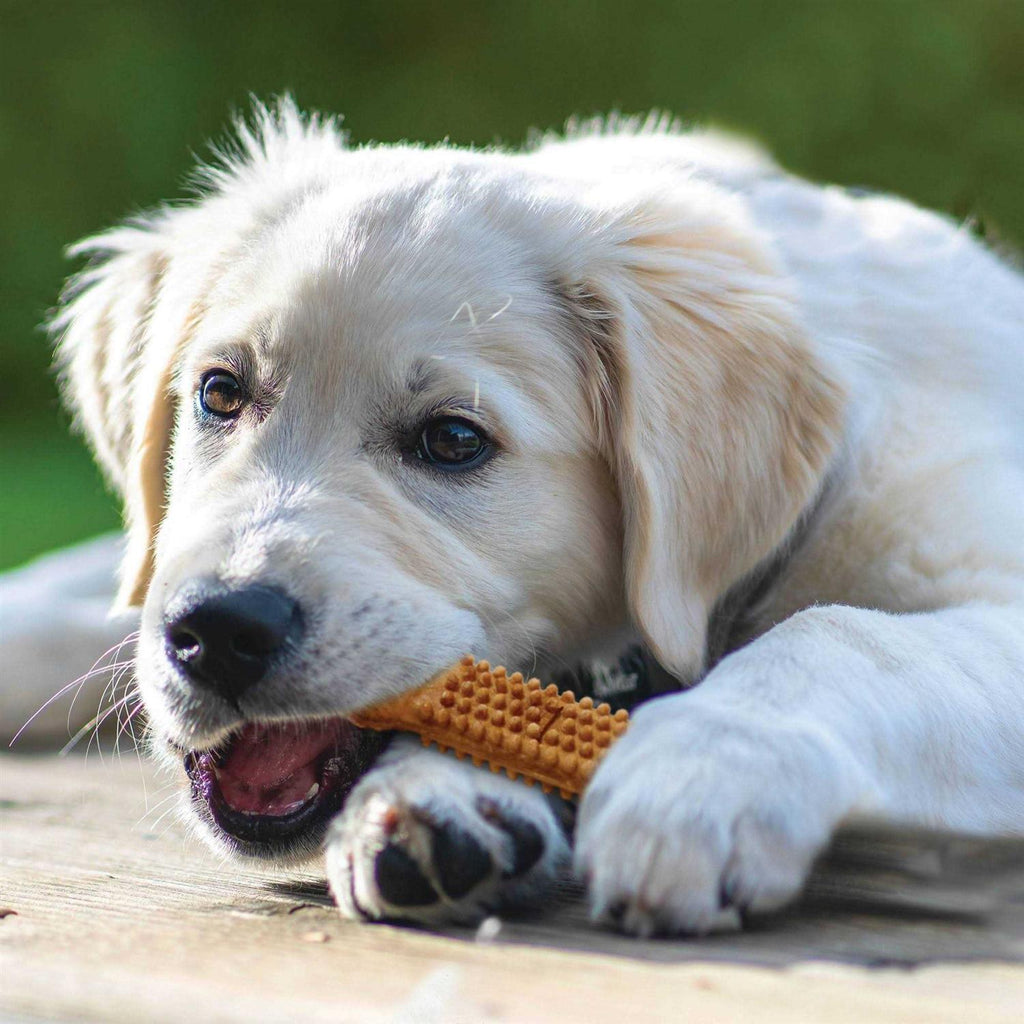 Turkey and Sweet Potato Dental Dog Treats K43054