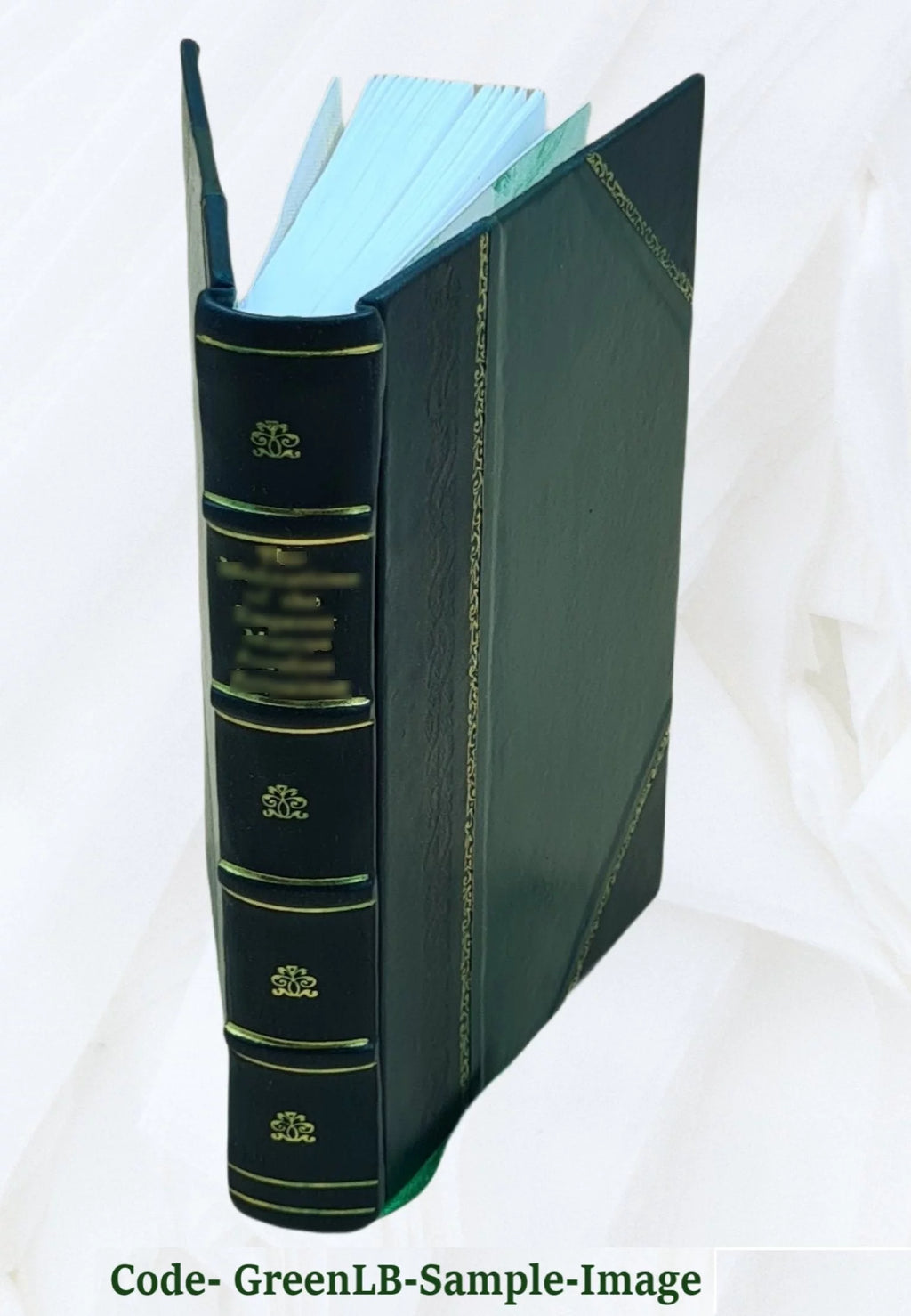 Leather Bound S608740