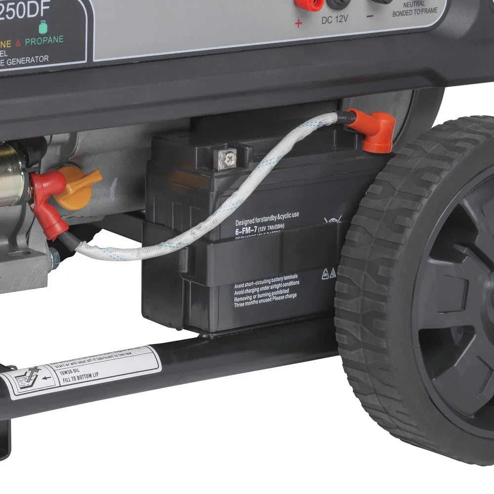 Portable Dual Fuel Gas Generator with Electric Start B385