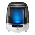 Grey Air Purifier 538 Sq Ft L600